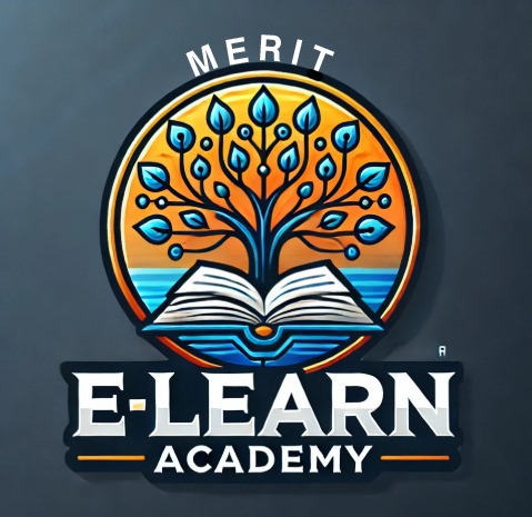 Meritelearnacademy